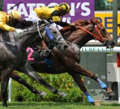 Make A Return<br>Photo by Singapore Turf Club